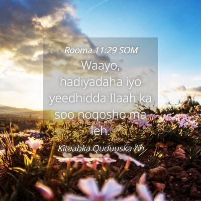 Picture 04 - Rooma 11:29 SOM - Waayo, hadiyadaha iyo yeedhidda Ilaah ka soo - Bible Verse Picture