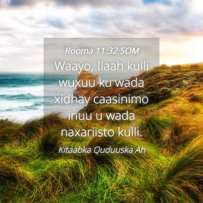 Picture 04 - Rooma 11:32 SOM - Waayo, Ilaah kulli wuxuu ku wada xidhay caasinimo - Bible Verse Picture