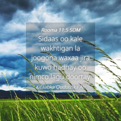 Picture 04 - Rooma 11:5 SOM - Sidaas oo kale wakhtigan la joogona waxaa jira - Bible Verse Picture