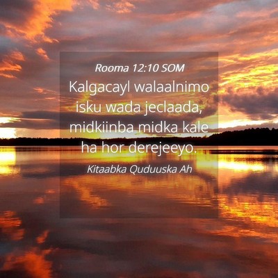 Picture 04 - Rooma 12:10 SOM - Kalgacayl walaalnimo isku wada jeclaada, - Bible Verse Picture