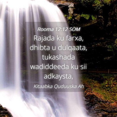 Picture 04 - Rooma 12:12 SOM - Rajada ku farxa, dhibta u dulqaata, tukashada - Bible Verse Picture