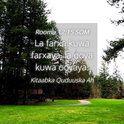 Picture 04 - Rooma 12:15 SOM - La farxa kuwa farxaya, la ooya kuwa - Bible Verse Picture