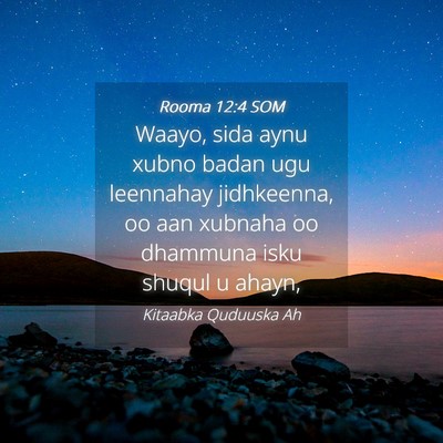 Picture 04 - Rooma 12:4 SOM - Waayo, sida aynu xubno badan ugu leennahay - Bible Verse Picture