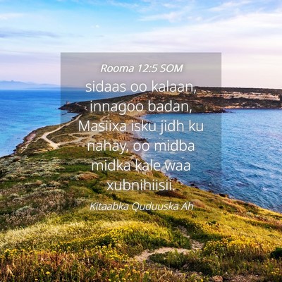 Picture 04 - Rooma 12:5 SOM - sidaas oo kalaan, innagoo badan, Masiixa isku - Bible Verse Picture