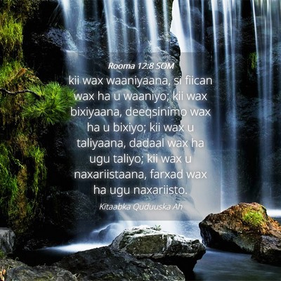Picture 04 - Rooma 12:8 SOM - kii wax waaniyaana, si fiican wax ha u waaniyo; - Bible Verse Picture