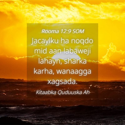 Picture 04 - Rooma 12:9 SOM - Jacaylku ha noqdo mid aan labaweji lahayn, sharka - Bible Verse Picture
