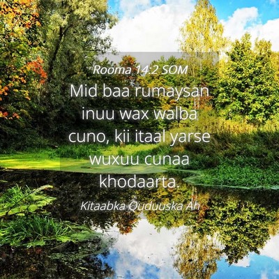 Picture 04 - Rooma 14:2 SOM - Mid baa rumaysan inuu wax walba cuno, kii itaal - Bible Verse Picture