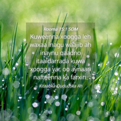 Picture 04 - Rooma 15:1 SOM - Kuweenna xoogga leh waxaa inagu waajib ah inaynu - Bible Verse Picture