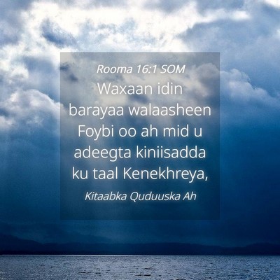 Picture 04 - Rooma 16:1 SOM - Waxaan idin barayaa walaasheen Foybi oo ah mid u - Bible Verse Picture