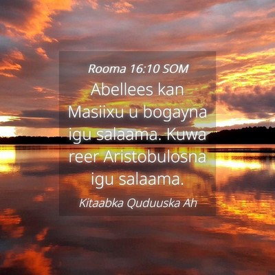 Picture 04 - Rooma 16:10 SOM - Abellees kan Masiixu u bogayna igu salaama. Kuwa - Bible Verse Picture