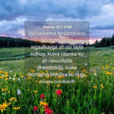 Picture 04 - Rooma 16:7 SOM - Igu salaama Andaronikos iyo Yuniyas oo - Bible Verse Picture