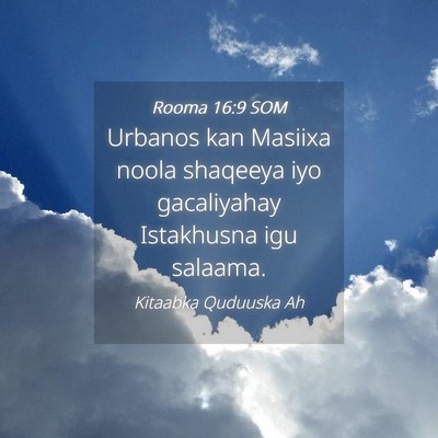 Picture 04 - Rooma 16:9 SOM - Urbanos kan Masiixa noola shaqeeya iyo - Bible Verse Picture