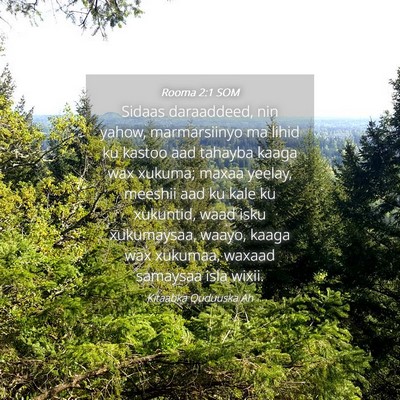 Picture 04 - Rooma 2:1 SOM - Sidaas daraaddeed, nin yahow, marmarsiinyo ma - Bible Verse Picture