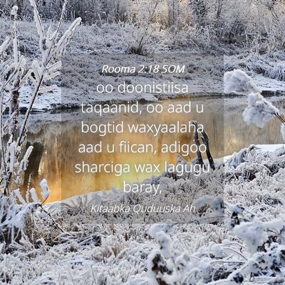 Picture 04 - Rooma 2:18 SOM - oo doonistiisa taqaanid, oo aad u bogtid - Bible Verse Picture