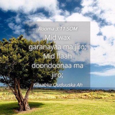 Picture 04 - Rooma 3:11 SOM - Mid wax garanayaa ma jiro; Mid Ilaah doondoonaa - Bible Verse Picture