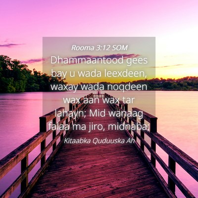 Picture 04 - Rooma 3:12 SOM - Dhammaantood gees bay u wada leexdeen, waxay wada - Bible Verse Picture
