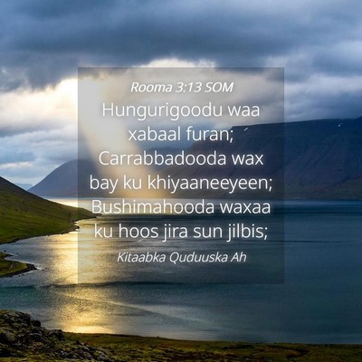 Picture 04 - Rooma 3:13 SOM - Hungurigoodu waa xabaal furan; Carrabbadooda wax - Bible Verse Picture