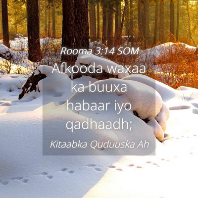 Picture 04 - Rooma 3:14 SOM - Afkooda waxaa ka buuxa habaar iyo - Bible Verse Picture
