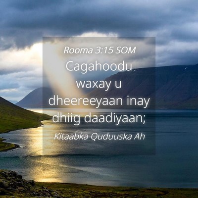 Picture 04 - Rooma 3:15 SOM - Cagahoodu waxay u dheereeyaan inay dhiig - Bible Verse Picture