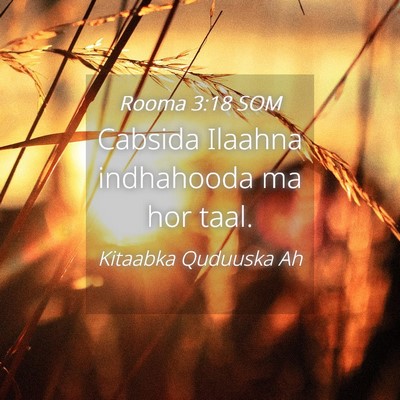 Picture 04 - Rooma 3:18 SOM - Cabsida Ilaahna indhahooda ma hor - Bible Verse Picture