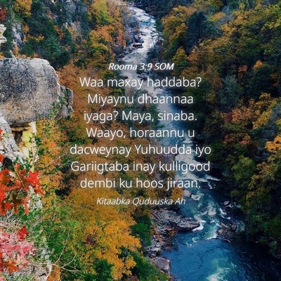 Picture 04 - Rooma 3:9 SOM - Waa maxay haddaba? Miyaynu dhaannaa iyaga? Maya, - Bible Verse Picture