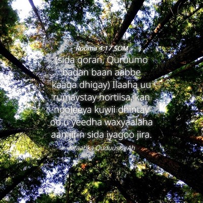 Picture 04 - Rooma 4:17 SOM - (sida qoran, Quruumo badan baan aabbe kaaga - Bible Verse Picture