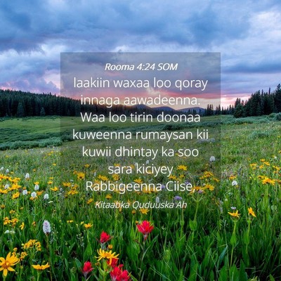 Picture 04 - Rooma 4:24 SOM - laakiin waxaa loo qoray innaga aawadeenna. Waa - Bible Verse Picture