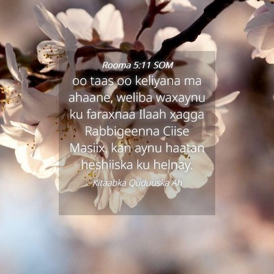 Picture 04 - Rooma 5:11 SOM - oo taas oo keliyana ma ahaane, weliba waxaynu ku - Bible Verse Picture