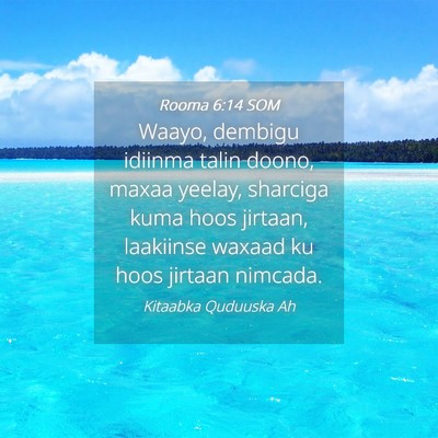 Picture 04 - Rooma 6:14 SOM - Waayo, dembigu idiinma talin doono, maxaa yeelay, - Bible Verse Picture