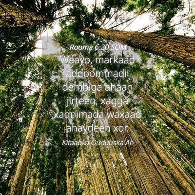 Picture 04 - Rooma 6:20 SOM - Waayo, markaad addoommadii dembiga ahaan jirteen, - Bible Verse Picture