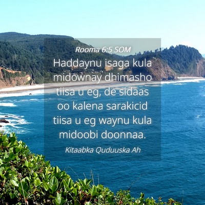 Picture 04 - Rooma 6:5 SOM - Haddaynu isaga kula midownay dhimasho tiisa u eg, - Bible Verse Picture