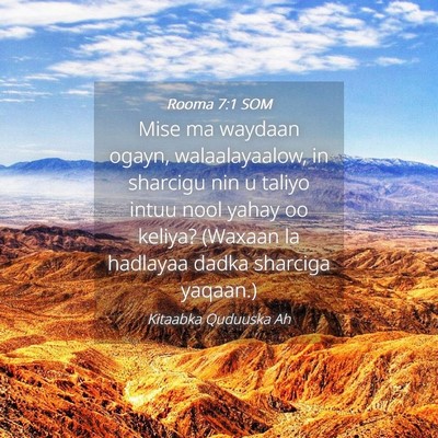 Picture 04 - Rooma 7:1 SOM - Mise ma waydaan ogayn, walaalayaalow, in sharcigu - Bible Verse Picture