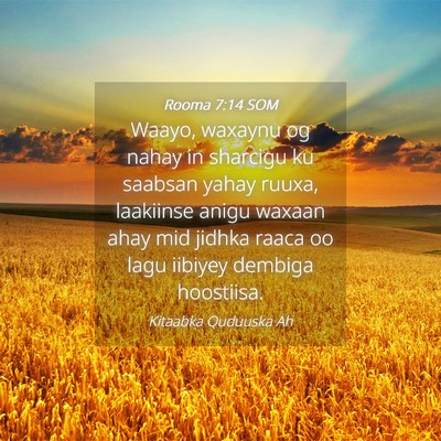 Picture 04 - Rooma 7:14 SOM - Waayo, waxaynu og nahay in sharcigu ku saabsan - Bible Verse Picture