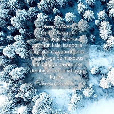 Picture 04 - Rooma 7:23 SOM - Laakiin waxaan xubnahayga ka arkaa qaynuun kale, - Bible Verse Picture