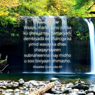 Picture 04 - Rooma 7:5 SOM - Waayo, markii aynu jidhka ku dhex jirnay, - Bible Verse Picture