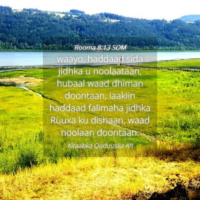 Picture 04 - Rooma 8:13 SOM - waayo, haddaad sida jidhka u noolaataan, hubaal - Bible Verse Picture