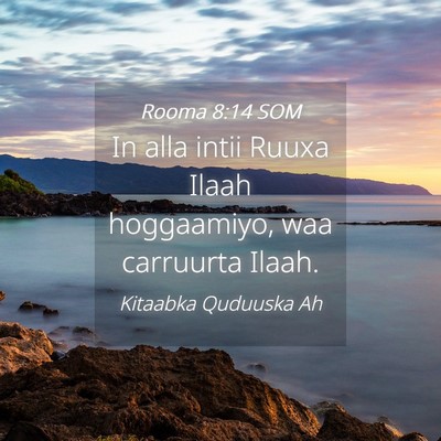 Picture 04 - Rooma 8:14 SOM - In alla intii Ruuxa Ilaah hoggaamiyo, waa - Bible Verse Picture