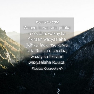 Picture 04 - Rooma 8:5 SOM - Waayo, kuwa sida jidhka u socdaa, waxay ka - Bible Verse Picture