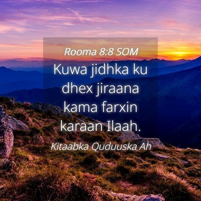 Picture 04 - Rooma 8:8 SOM - Kuwa jidhka ku dhex jiraana kama farxin karaan - Bible Verse Picture