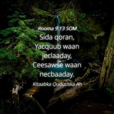 Picture 04 - Rooma 9:13 SOM - Sida qoran, Yacquub waan jeclaaday, Ceesawse waan - Bible Verse Picture