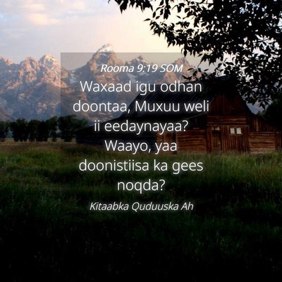 Picture 04 - Rooma 9:19 SOM - Waxaad igu odhan doontaa, Muxuu weli ii - Bible Verse Picture