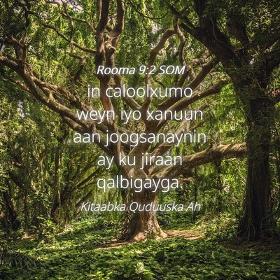 Picture 04 - Rooma 9:2 SOM - in caloolxumo weyn iyo xanuun aan joogsanaynin ay - Bible Verse Picture
