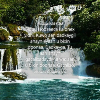 Picture 04 - Rooma 9:25 SOM - Siduu Hooseeca ka dhex yidhi, Kuwo aan dadkaygii - Bible Verse Picture