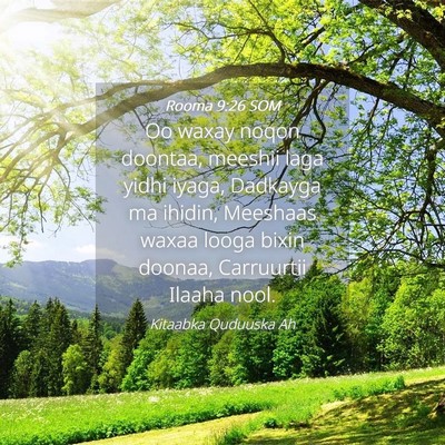 Picture 04 - Rooma 9:26 SOM - Oo waxay noqon doontaa, meeshii laga yidhi iyaga, - Bible Verse Picture
