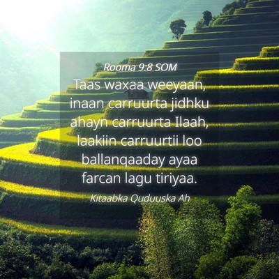 Picture 04 - Rooma 9:8 SOM - Taas waxaa weeyaan, inaan carruurta jidhku ahayn - Bible Verse Picture