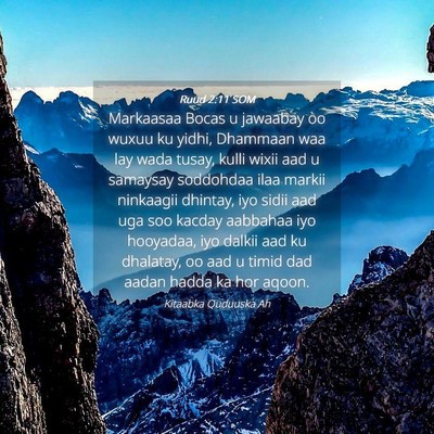 Picture 04 - Ruud 2:11 SOM - Markaasaa Bocas u jawaabay oo wuxuu ku yidhi, - Bible Verse Picture