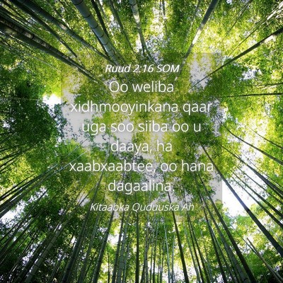 Picture 04 - Ruud 2:16 SOM - Oo weliba xidhmooyinkana qaar uga soo siiba oo u - Bible Verse Picture