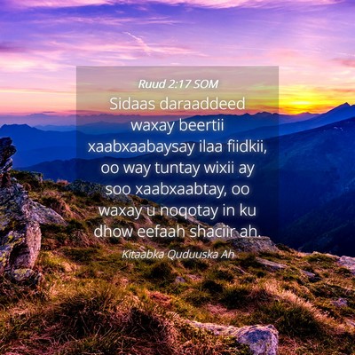 Picture 04 - Ruud 2:17 SOM - Sidaas daraaddeed waxay beertii xaabxaabaysay - Bible Verse Picture