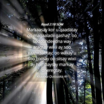 Picture 04 - Ruud 2:18 SOM - Markaasay kor u qaadatay oo magaaladii gashay; oo - Bible Verse Picture