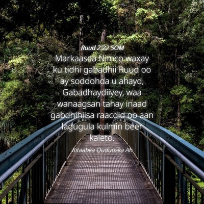 Picture 04 - Ruud 2:22 SOM - Markaasaa Nimco waxay ku tidhi gabadhii Ruud oo - Bible Verse Picture